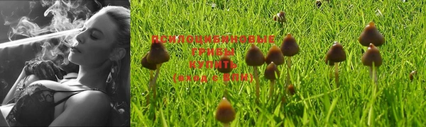 твердый Зеленокумск