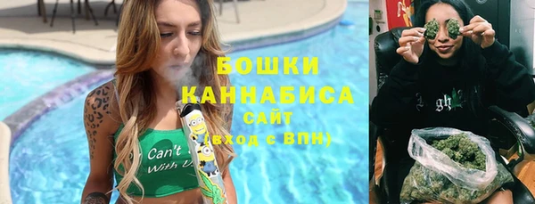 крисы Зеленодольск