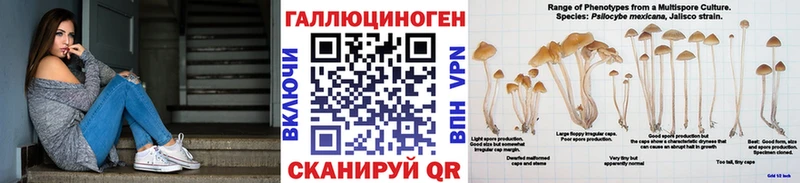 Купить где  Усть-Катав  Псилоцибиновые грибы мицелий 